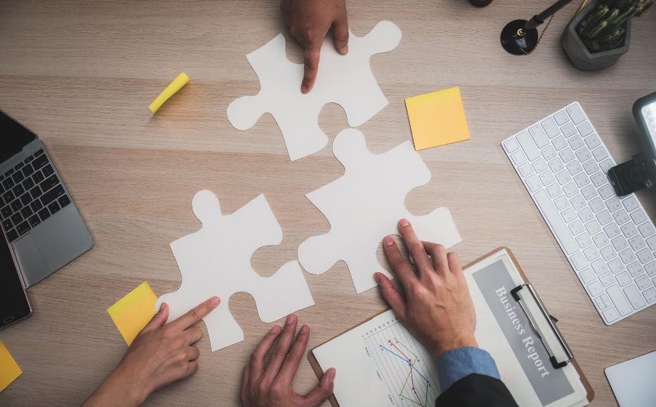 Expert Business Problem Solution guidance